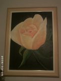 A ROSA LARANJA 70X 50 CM C/MOLDURA